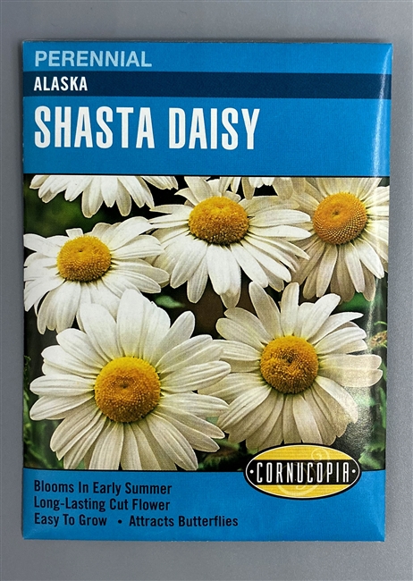 Cornucopia Alaska Shasta Daisy