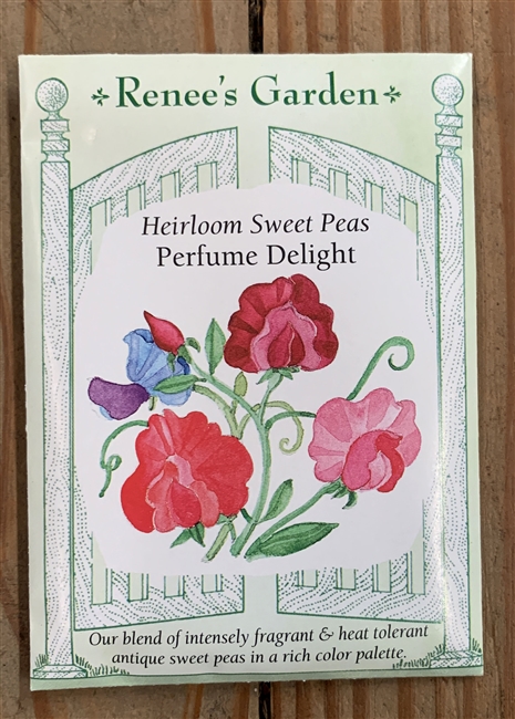 Renee's Garden Sweet Pea Perfume Delight